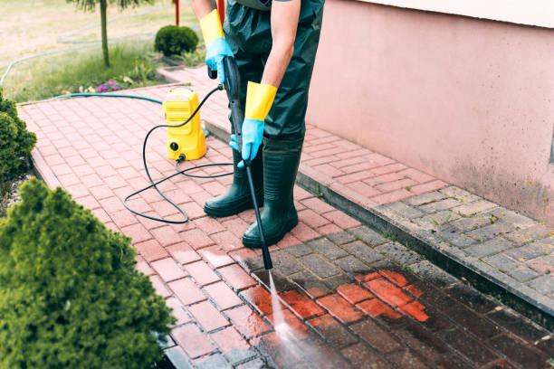 Best Pressure Washing Company Near Me  in Water Valley, MS