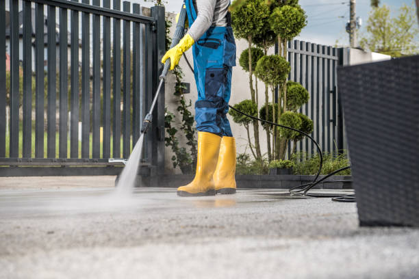 Best Pressure Washing Contractors  in Water Valley, MS