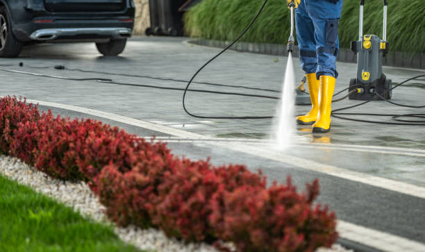 Roof Power Washing Services in Water Valley, MS